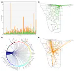 Using mobile phone data to reveal risk flow networks underlying the HIV epidemic in Namibia